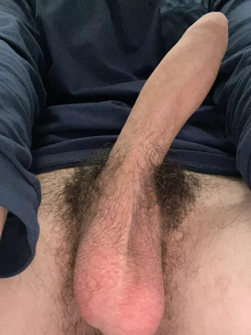 should i shave?