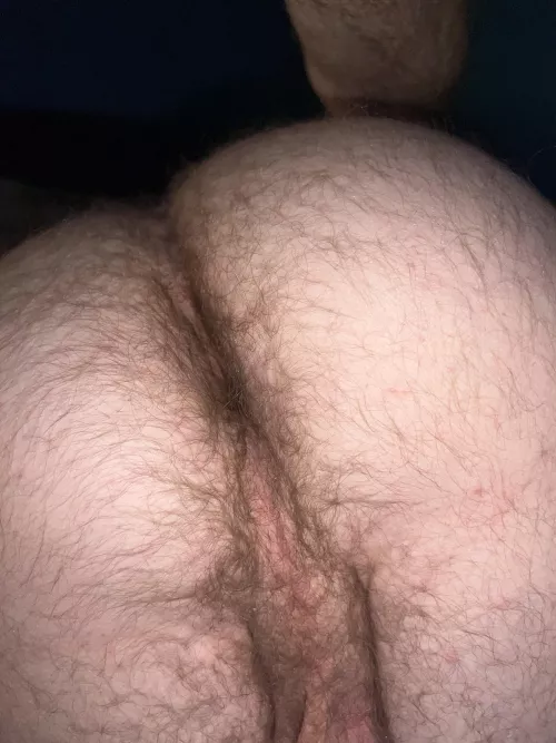 I love getting my hairy ass licked 👅