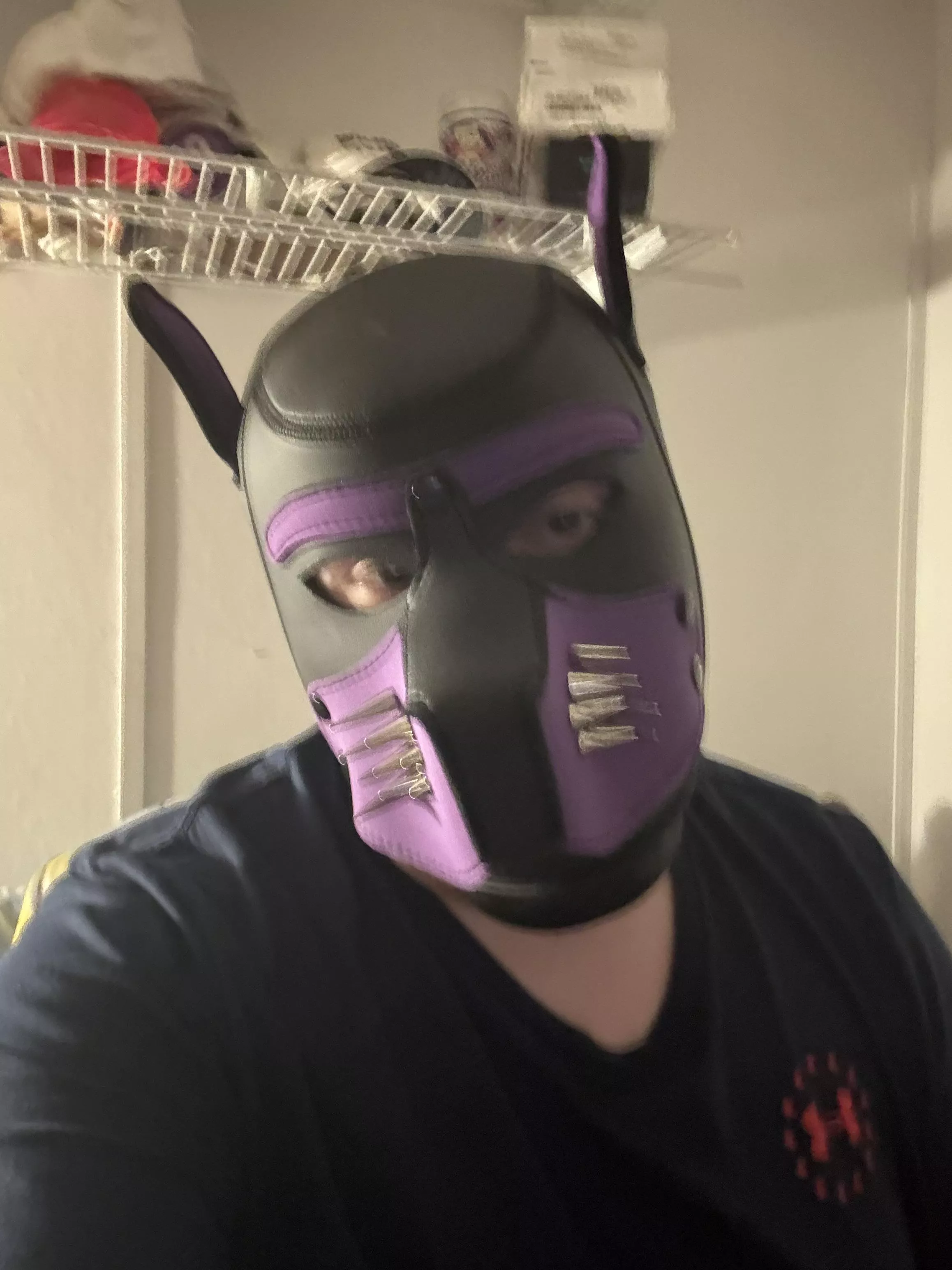 Puppy is very tired… gonna go rest 