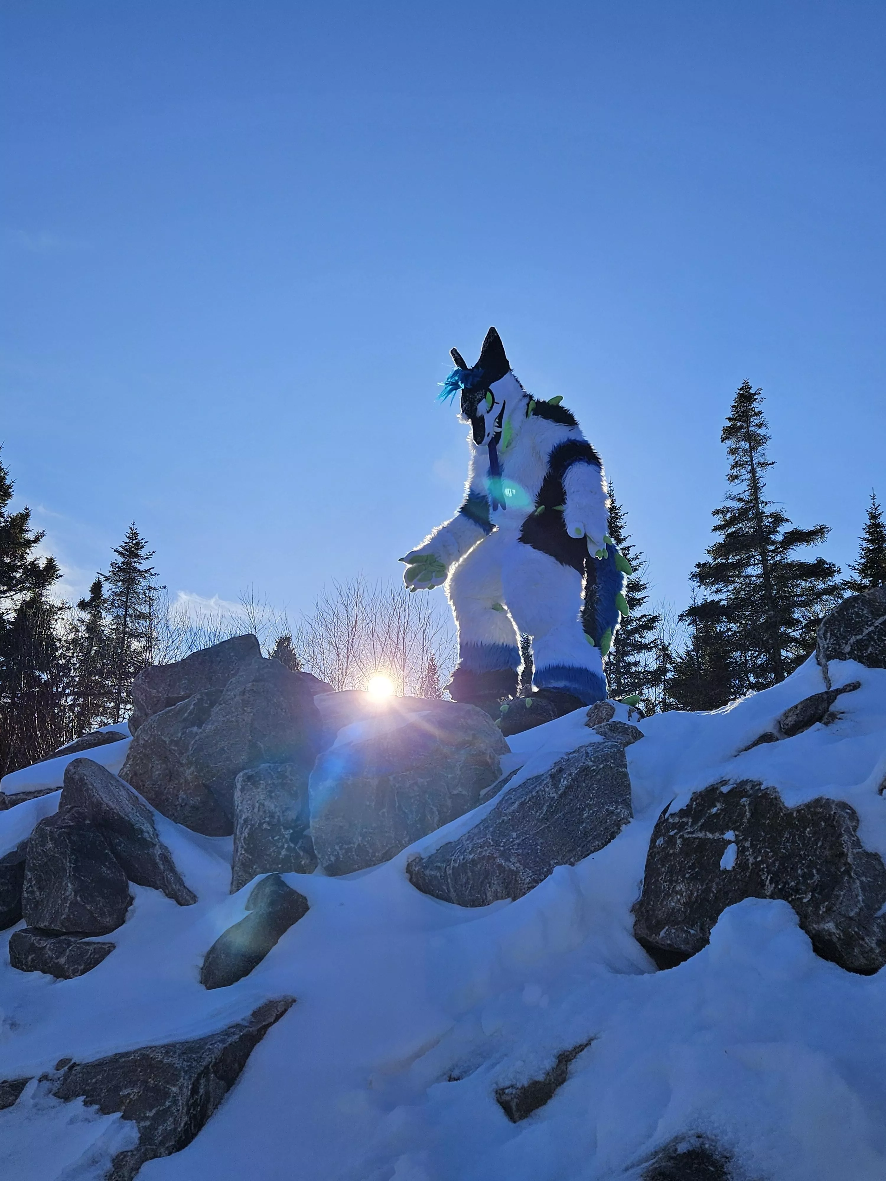 What brings you into my Woods?