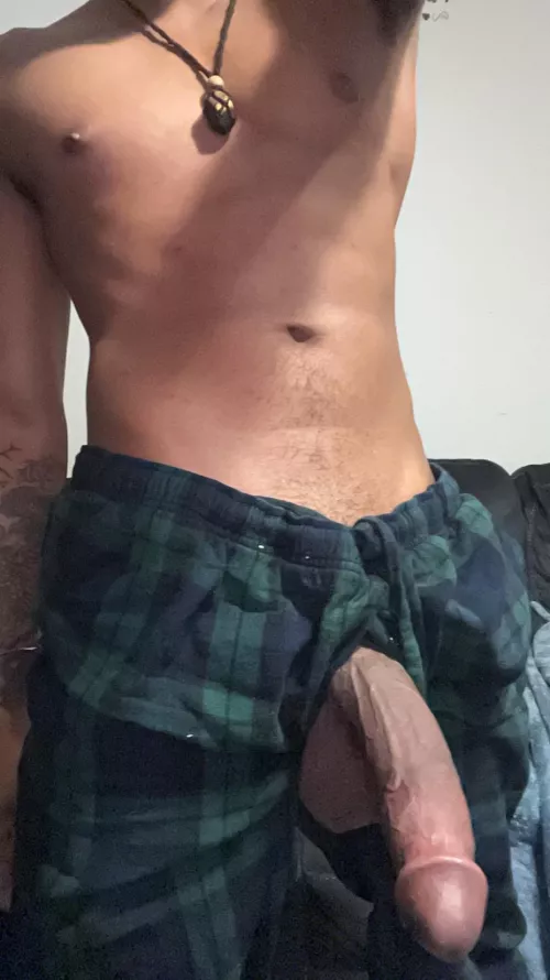 21M Norfolk Virginia USA bull