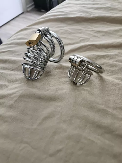 Hmm... which one for the weekend?