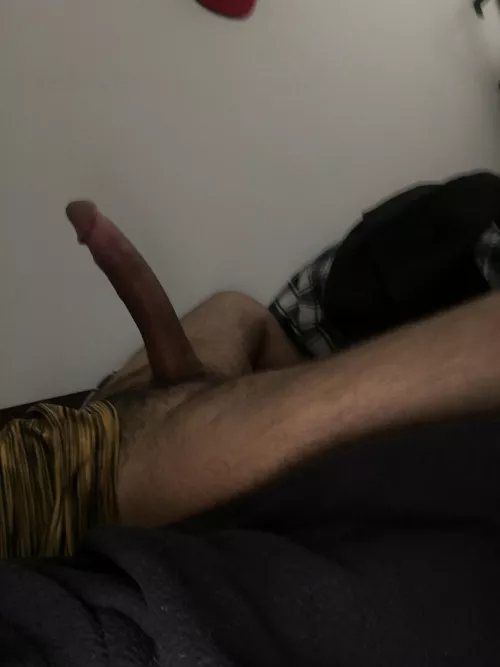 I know it’s been too long since anybody fucked you properly