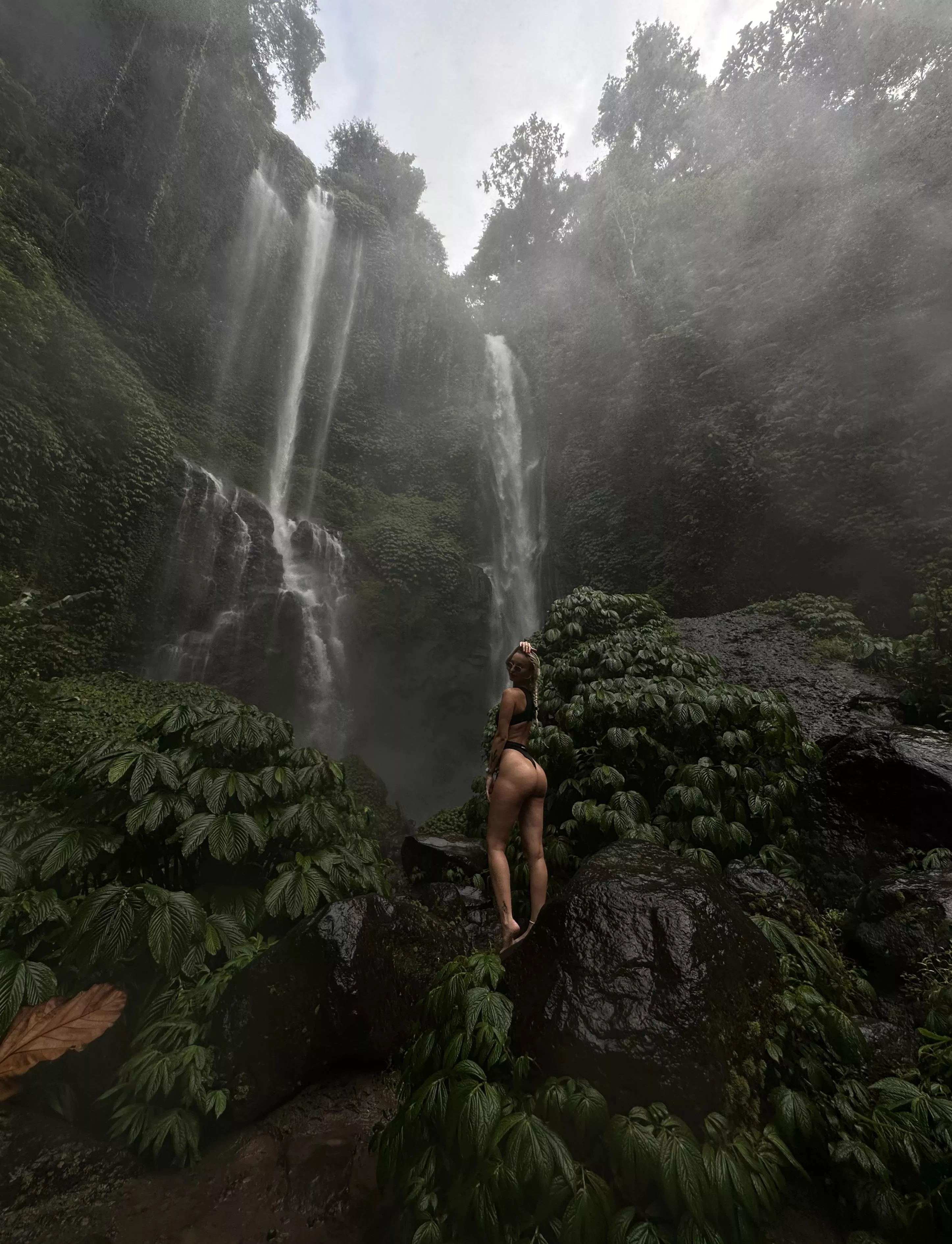 The two of us will be in the tropical forest