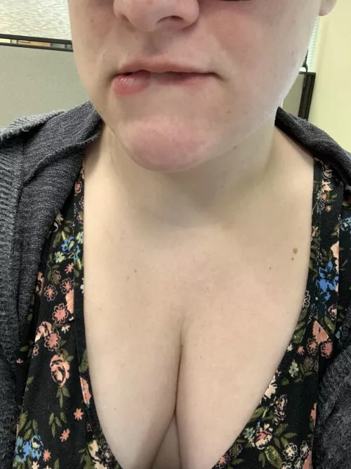 All alone in the office today