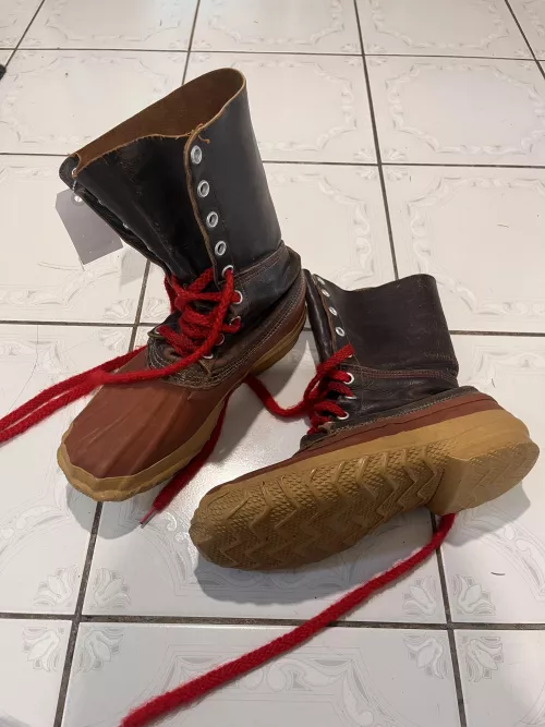 I’m wondering if anyone has an idea of what these are?