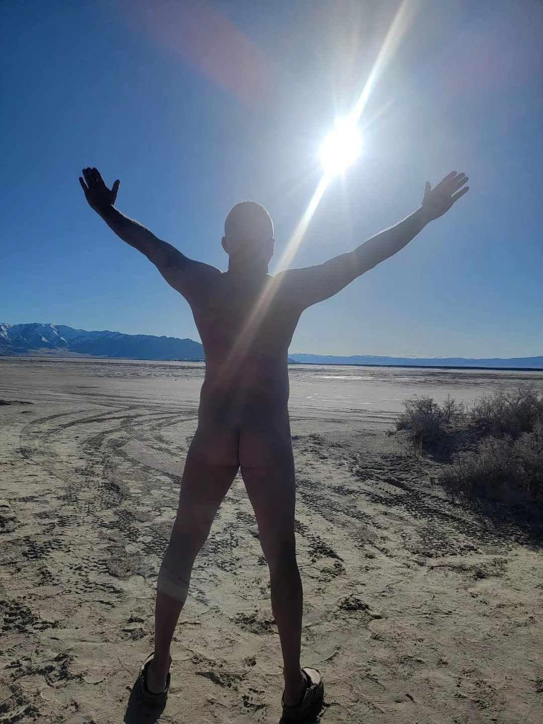 Loving the warm sun, common spring. 