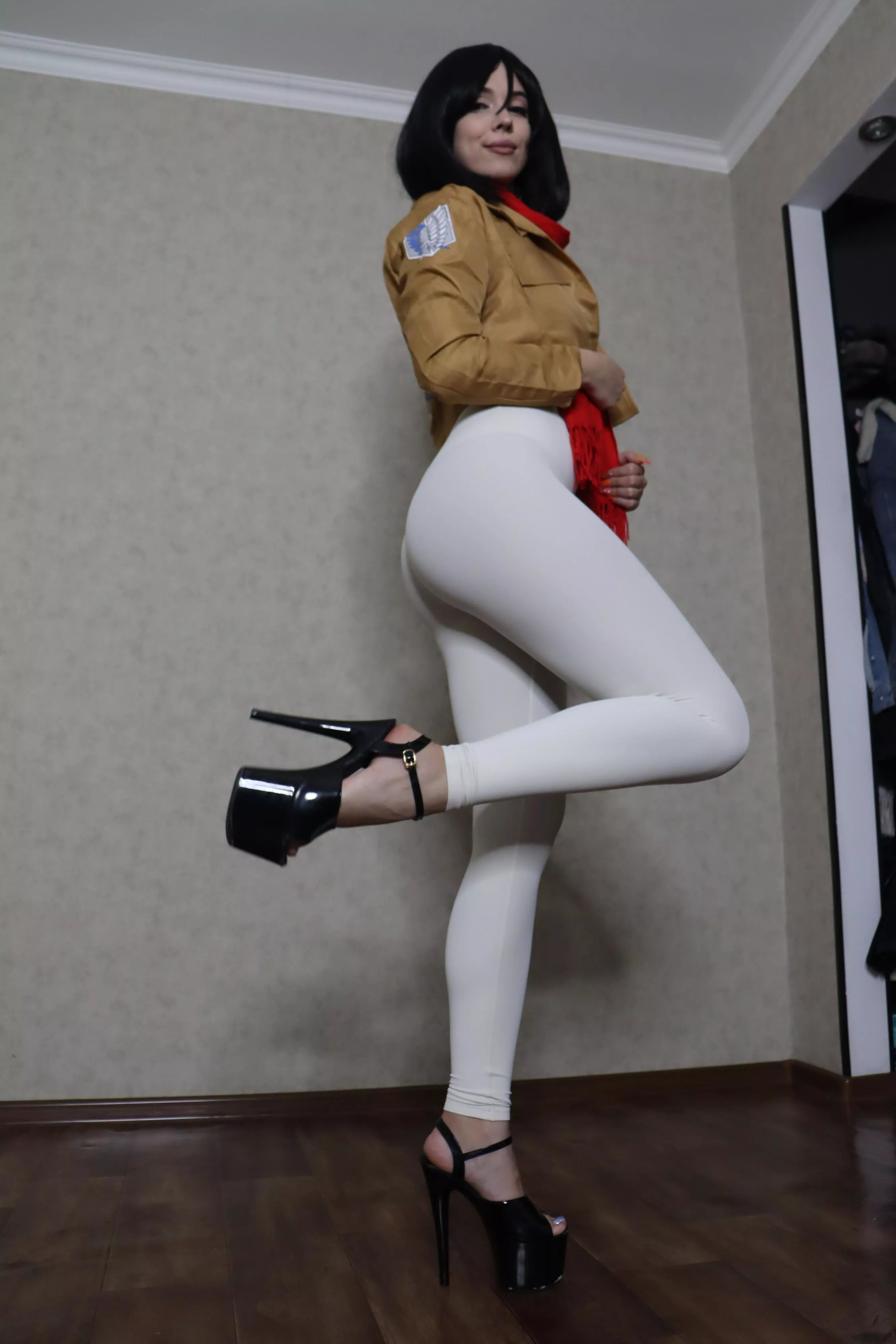 Mikasa [AOT] (Fairy Elfie)