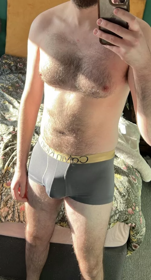 Otter in the morning sun ☀️ 🦦 