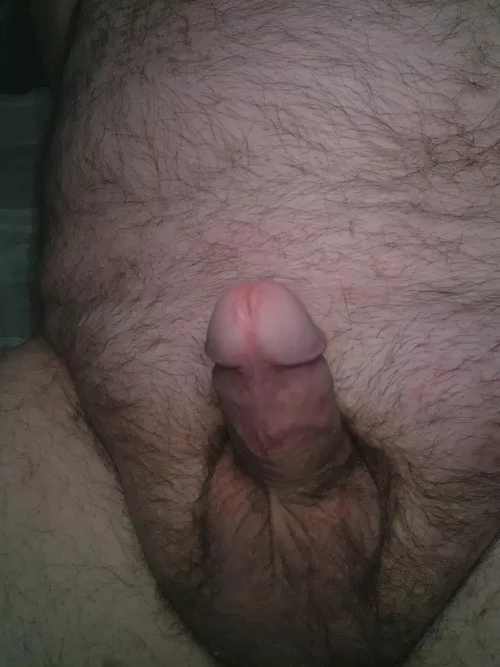 People always talk about poking the bear. What about sucking him off?