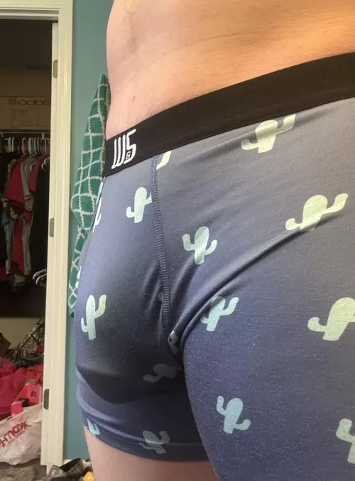 Do you wanna see my cocktus?