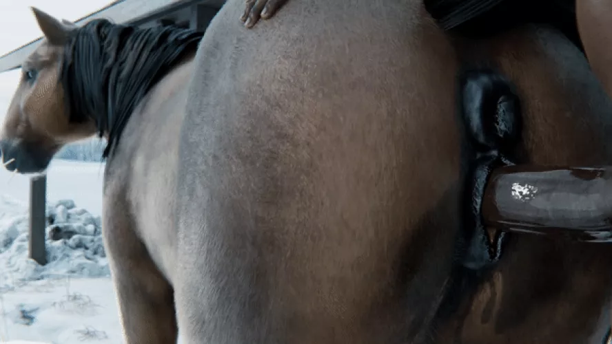 (FURJOE) BBC for a Big Brown Mare