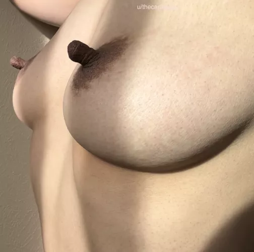 Milk chocolate and dark chocolate