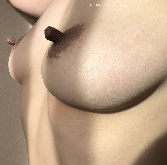 Milk chocolate and dark chocolate