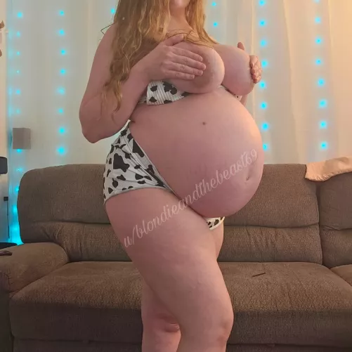 My G sized tits look small with this belly!