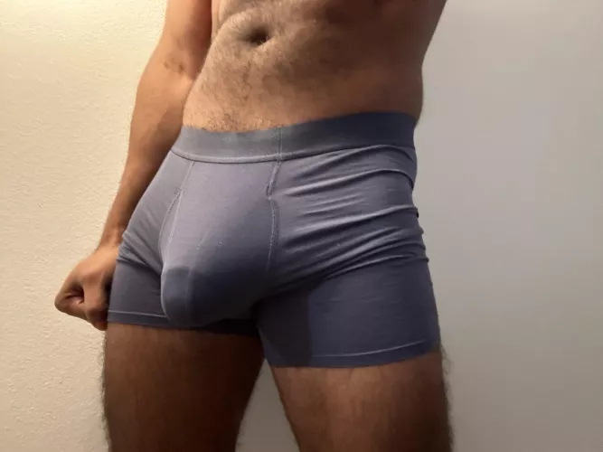 These briefs leave nothing to the imagination.