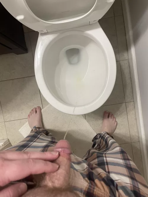 Where should I put my stream next time?