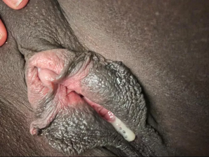 Creamy delights 🤤