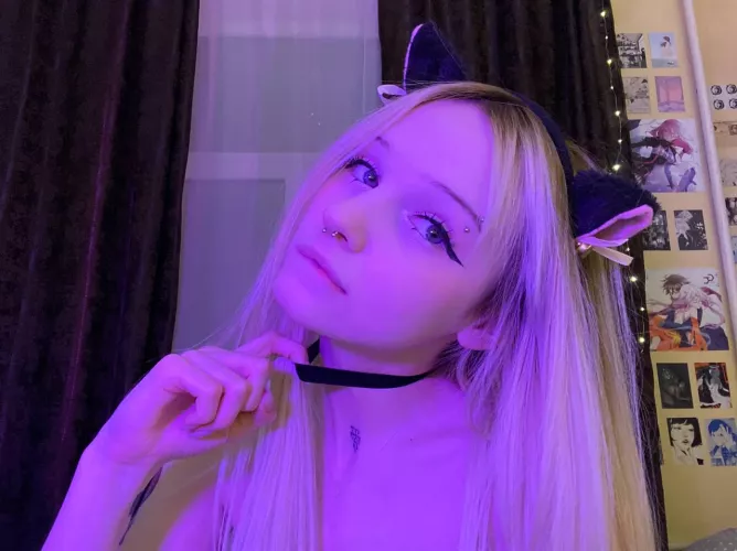 I think we need a stricter collar, don't you, Master