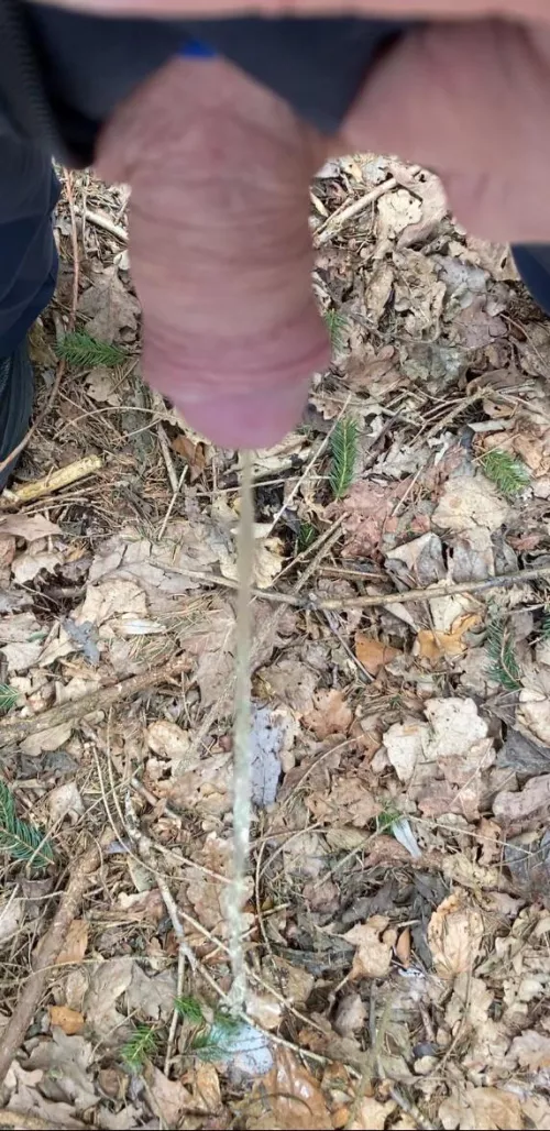 Pissing in the forest