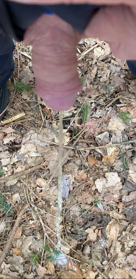Pissing in the forest