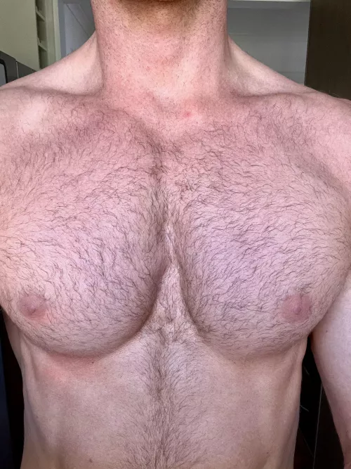 Would normally keep it trimmed but thinking of growing it out 