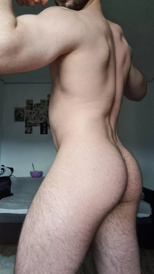 Would you fuck my hairy ass? Just got refused because of it
