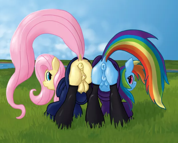 Fluttershy and Rainbow Dash showing off for you~ [Callichrome]