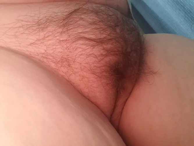 My carpet does indeed match my drapes