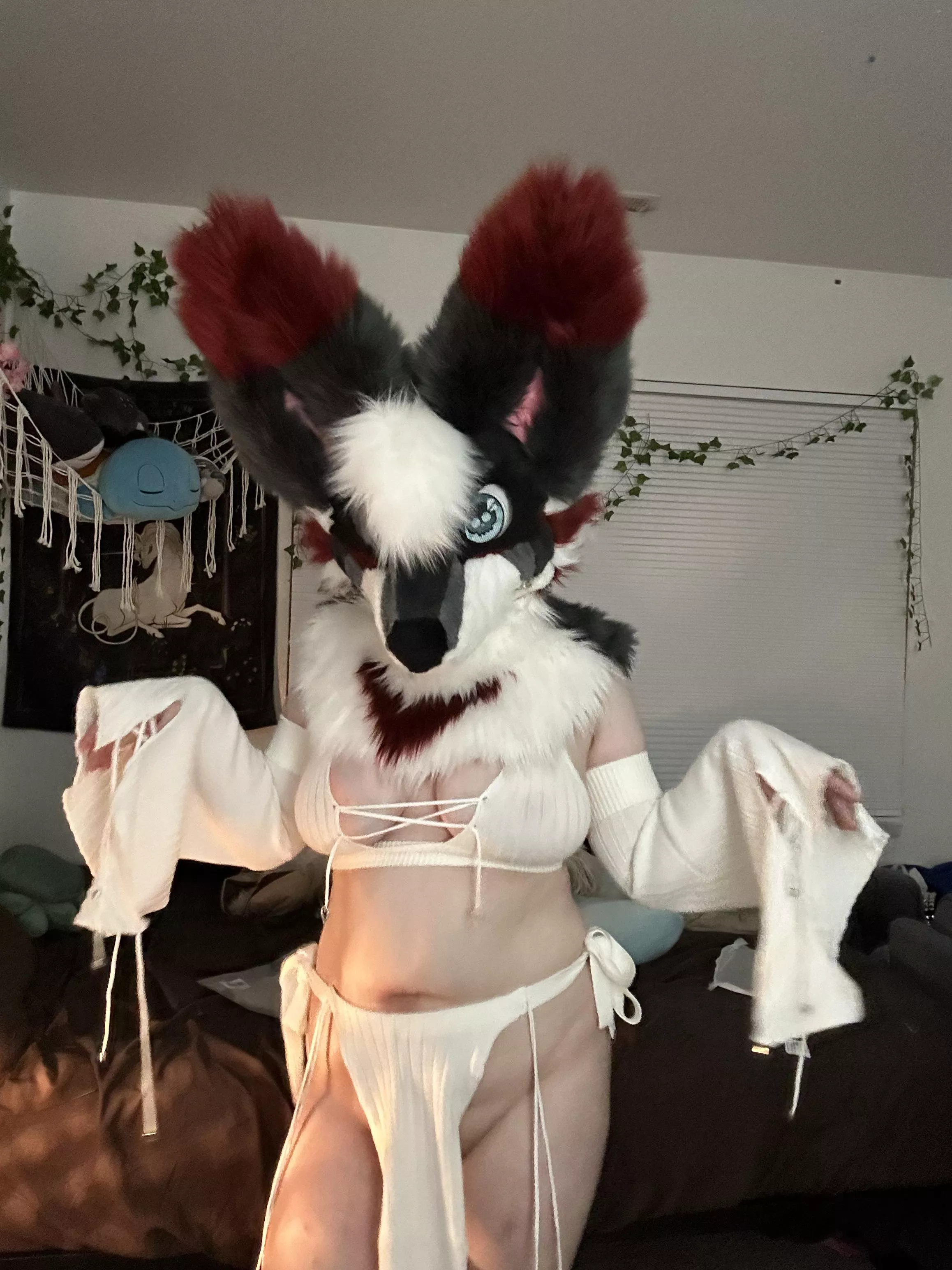 Needing Cash for Rent :3