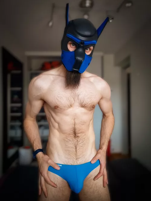 Pup in speedos 