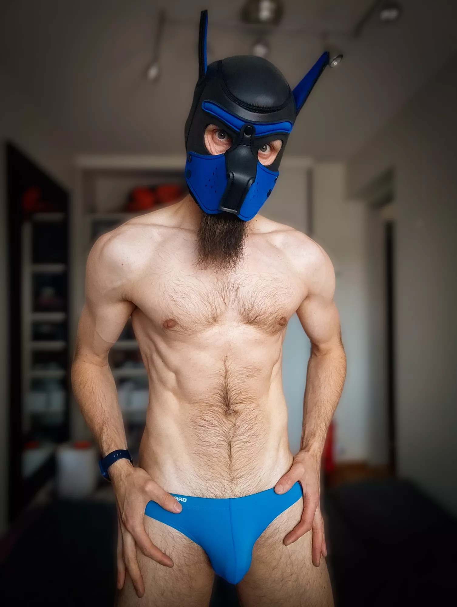 Pup in speedos 