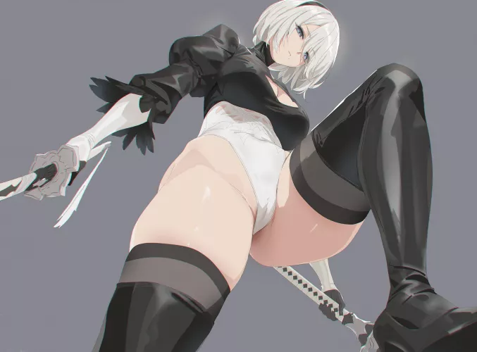 2B [Nier Automata]