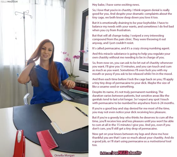 Chastity with permacaine