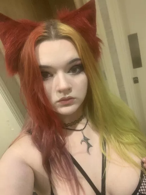 I love having these cat ears 😻