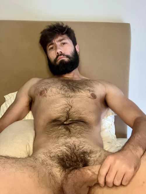 I suppose bush is in season⚡️