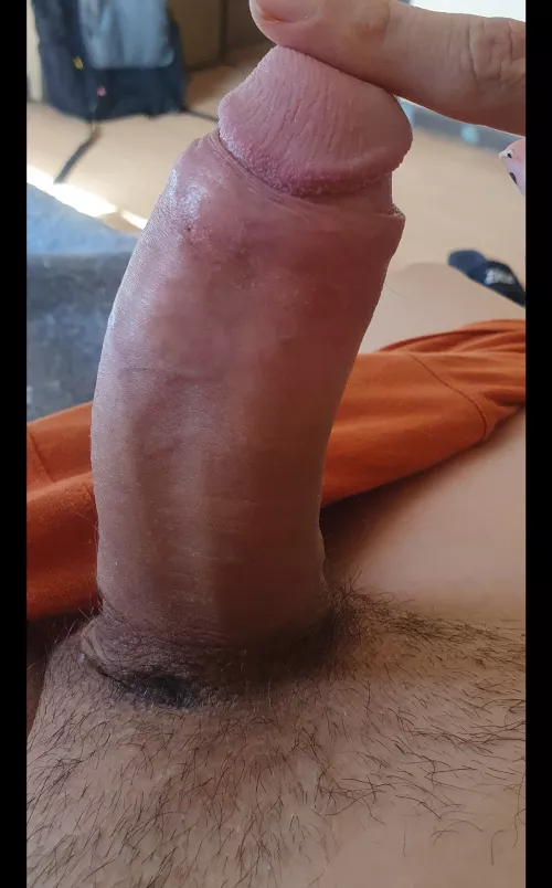 Last bottom got scared from all this girth