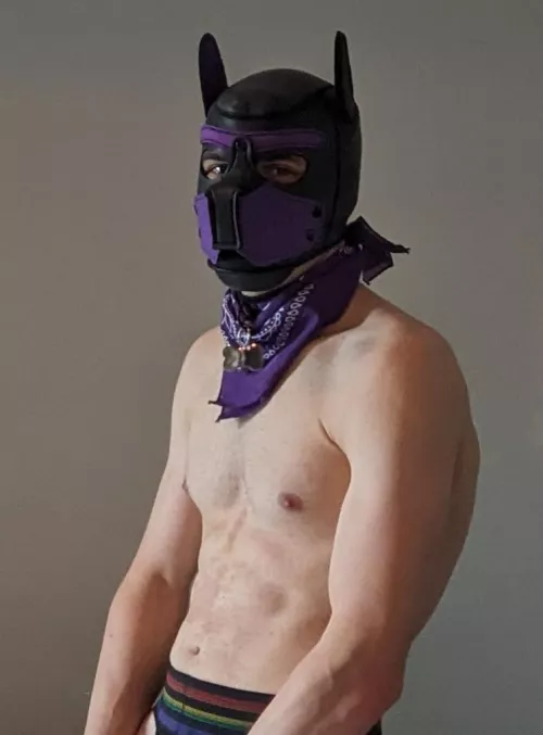 Old account got deleted, Pup saying hello again 👋🐶