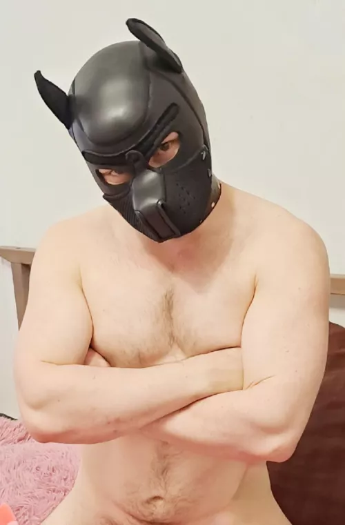 So you want to wrestle😈 