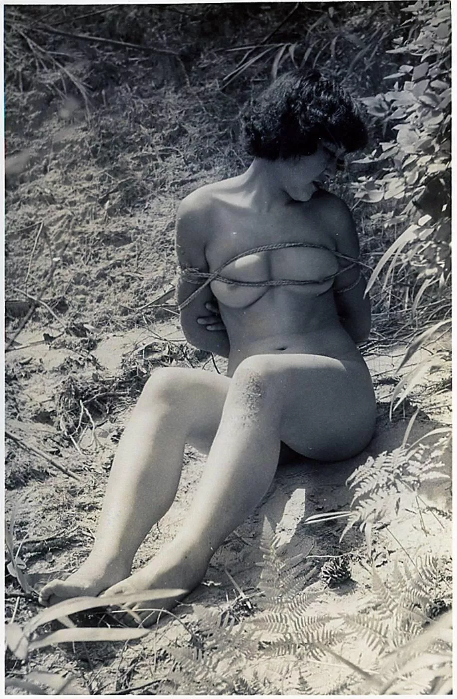 Vintage woodland fun