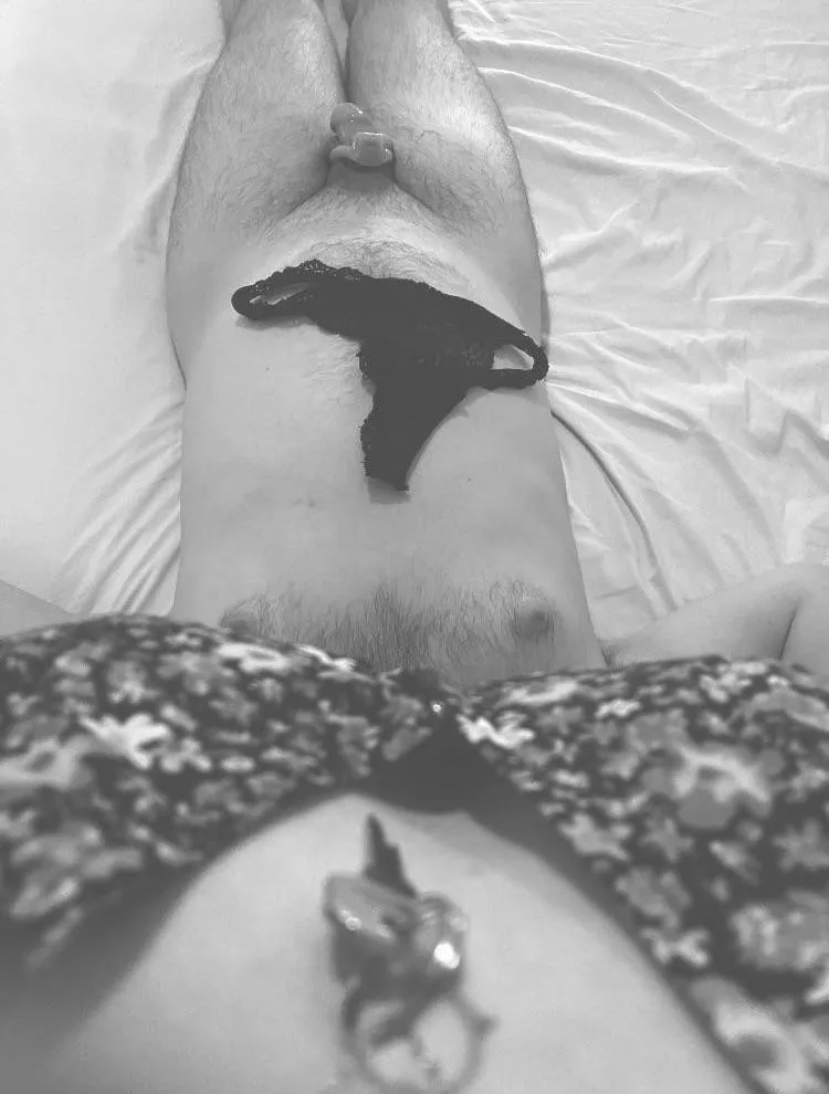 Facesitting + chastity = happiness