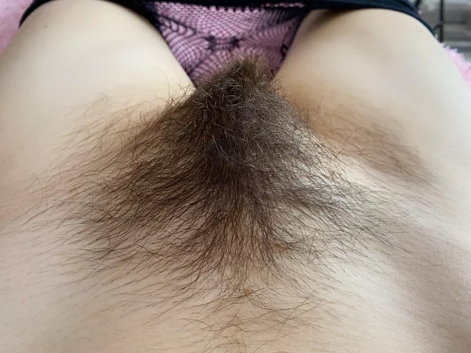 Natural big dark bush