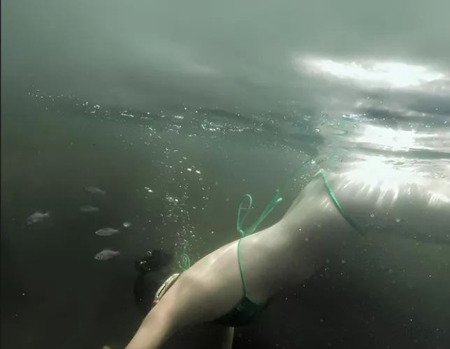 A very chilly swim with the fish!