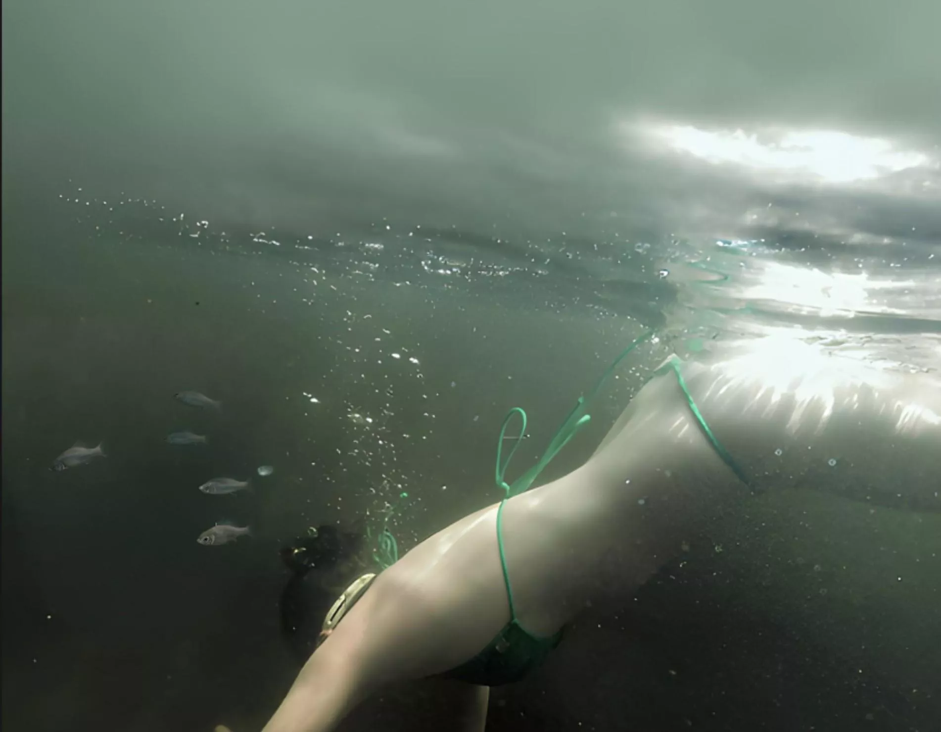 A very chilly swim with the fish!