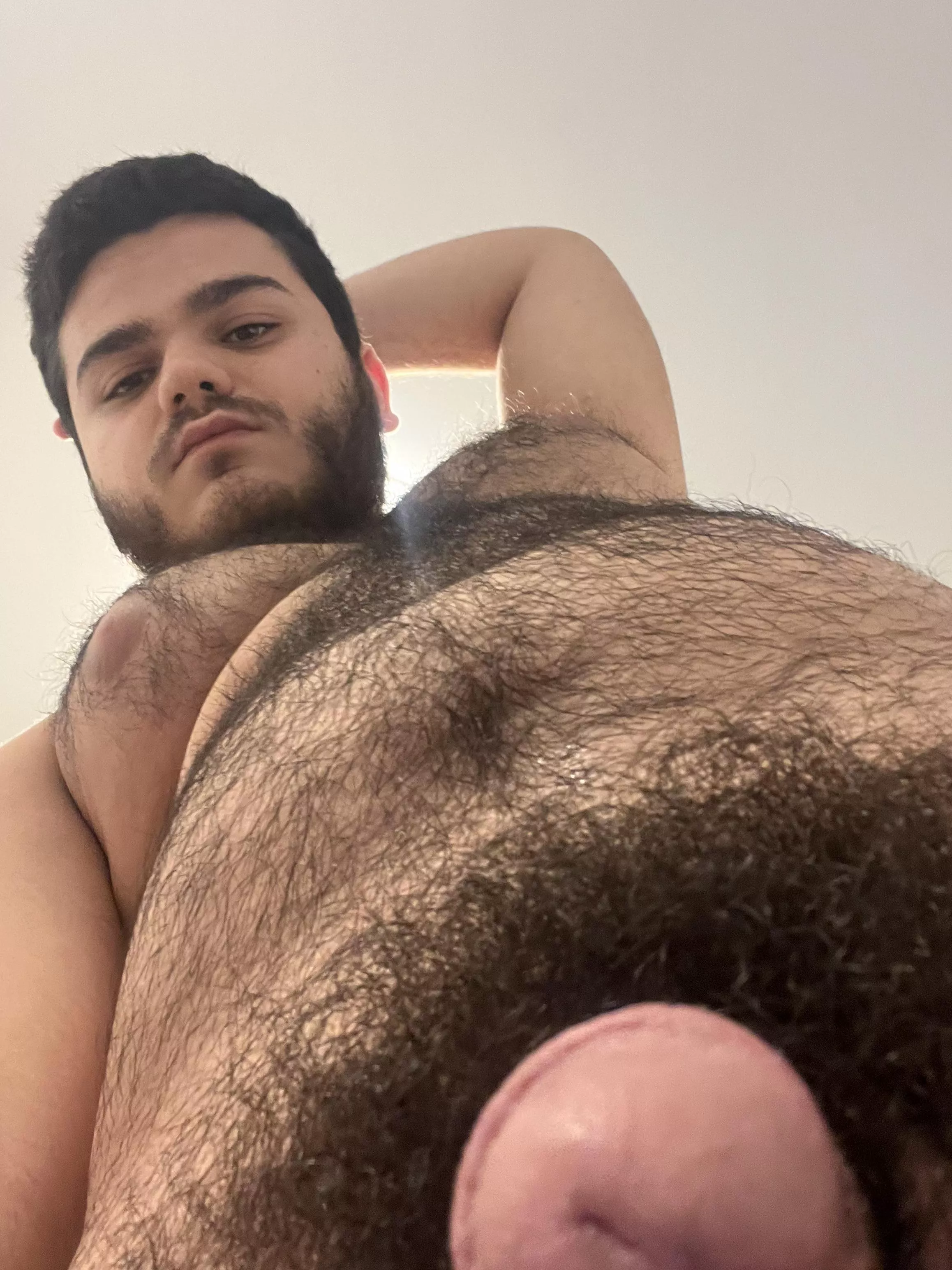 Brown and very hairy