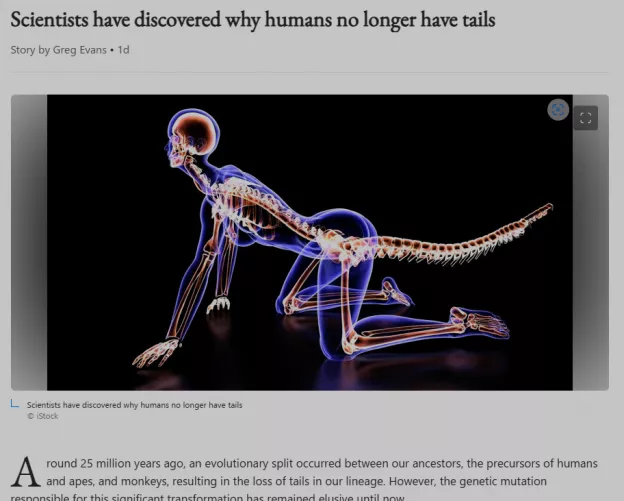 Interesting stock photo used in an article I was served on my homepage