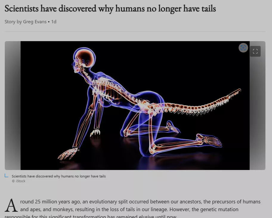 Interesting stock photo used in an article I was served on my homepage