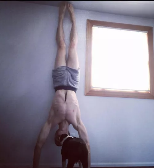 Someone has seen Spider-Man