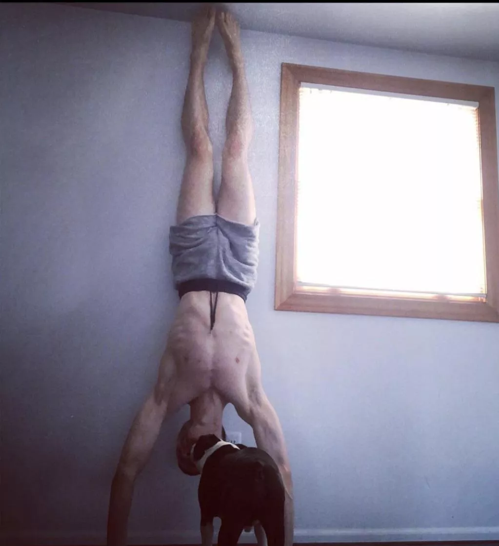 Someone has seen Spider-Man