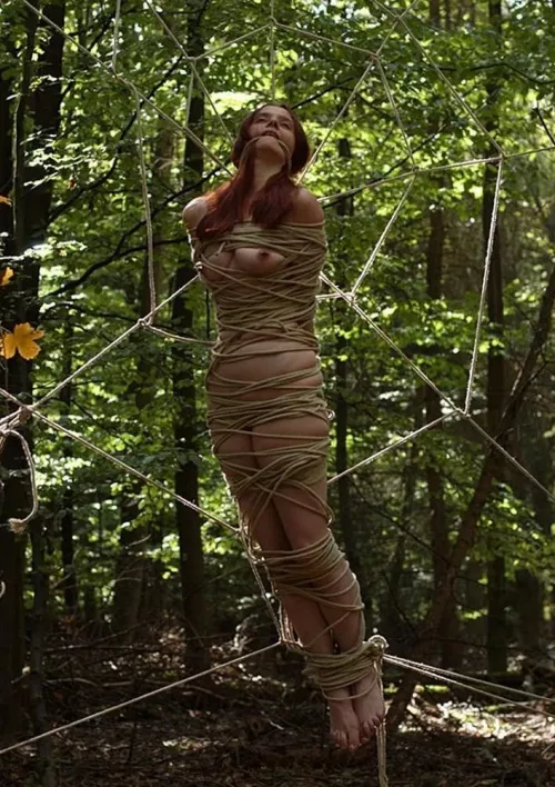 that took commitment